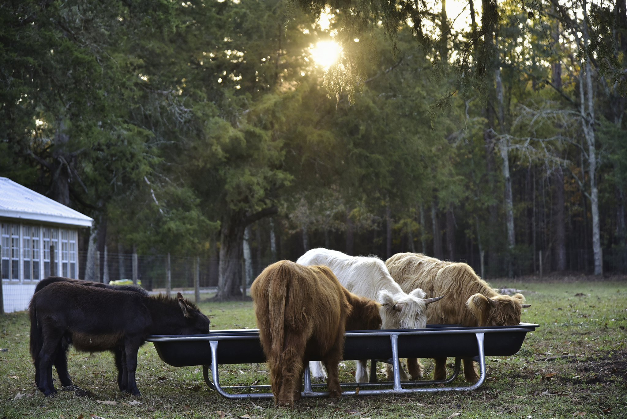 44 Farmhouse WEB 114